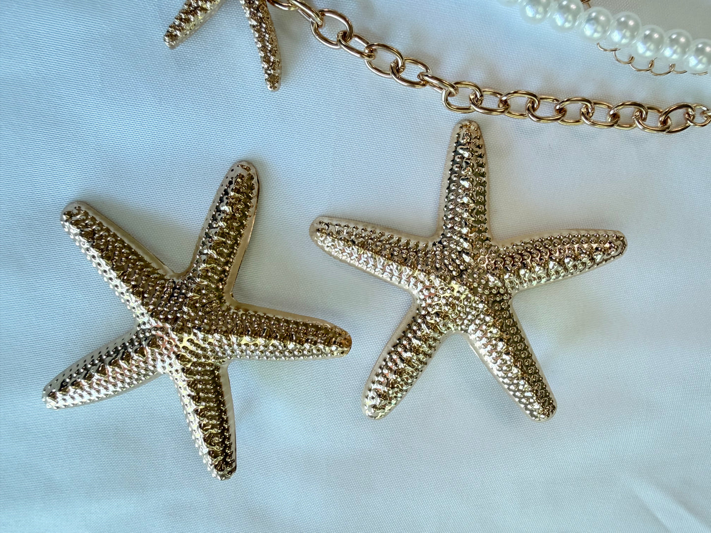 Sea Star  Earrings