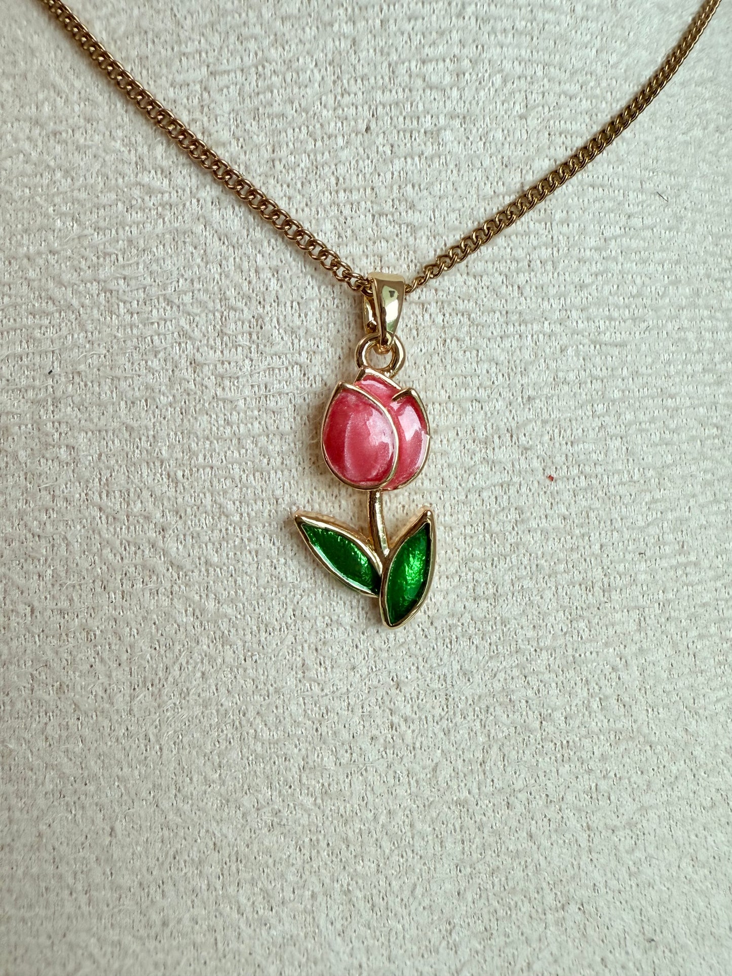 French Tulip Rose